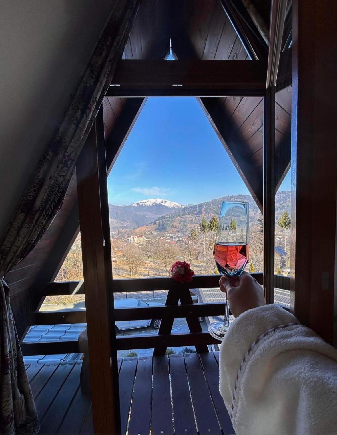 Holiday home A Borsa (Maramures)